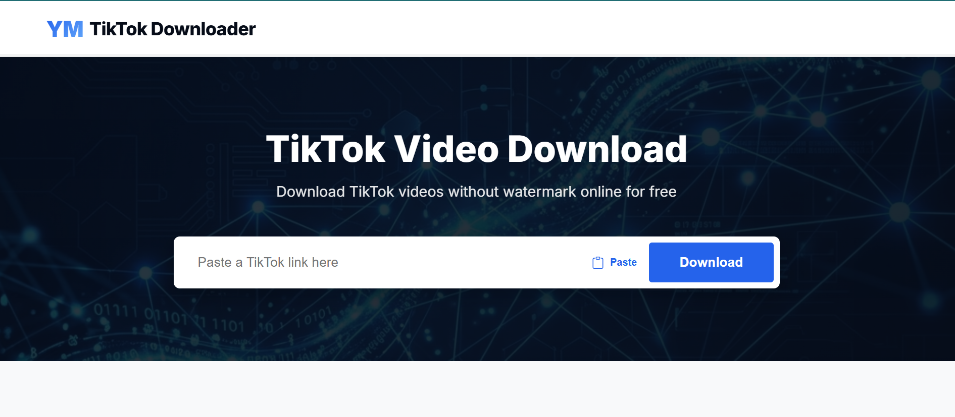 YM TikTok Video Downloader